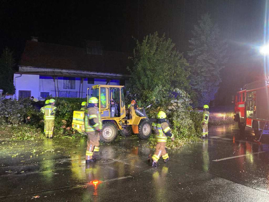 Unwetter: Umgestürzter Baum in der Münchener Straße –&nbsp;24.08.2023