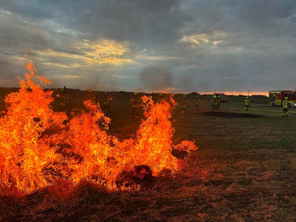 Übung Vegetationsbrandbekämpfung der Feuerwehr Pliening auf einem Stoppelfeld, August 2026